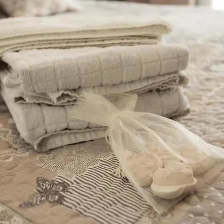 Le Petit Magellan קאן